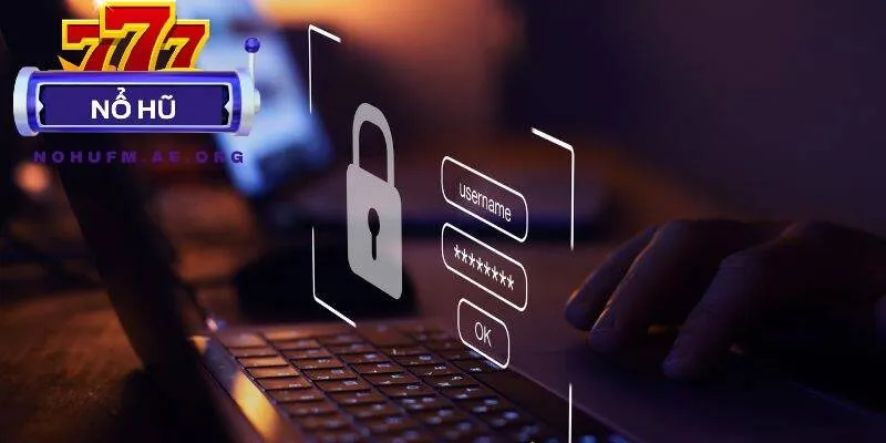 NOHU FM minh bạch thu thập dữ liệu kỹ thuật