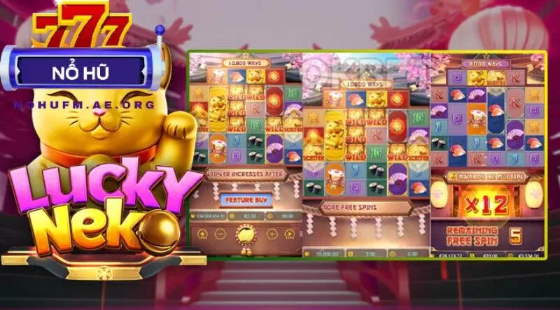 jackpot Win55 trúng cao